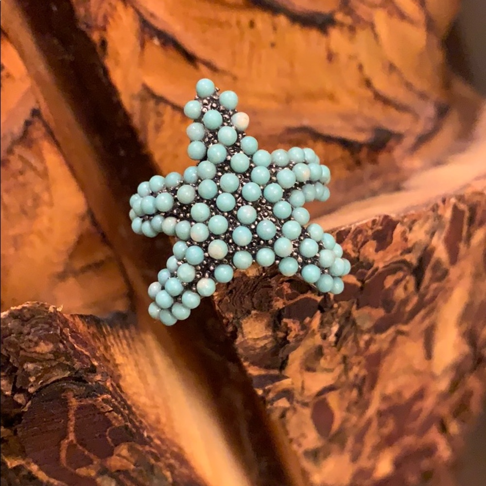 Banana Republic Star Ring in Turquoise and Black